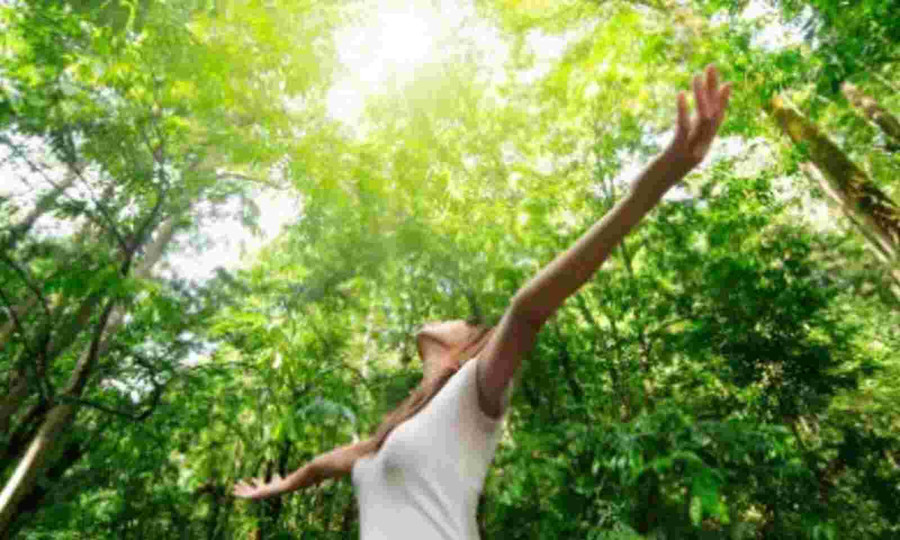 Chính là lúc tâm hồn cần tìm về bến đỗ bình yên